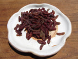Agave Worms or Gusanos de Maguey